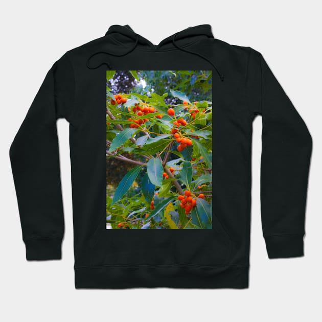 fascinating nature Hoodie by terezadelpilar